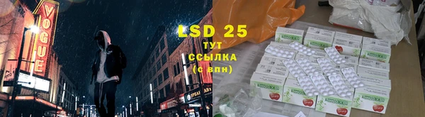 прущие грибы Армянск