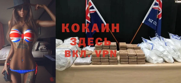 прущие грибы Армянск