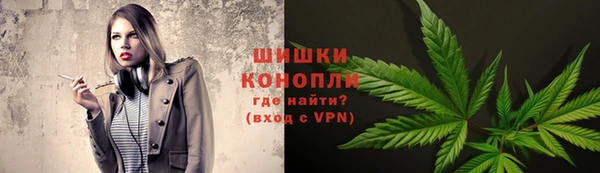 прущие грибы Армянск