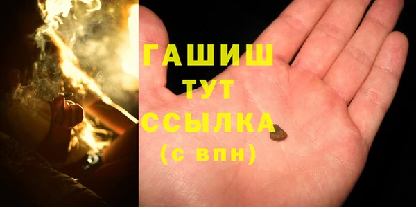 прущие грибы Армянск