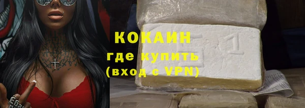 прущие грибы Армянск