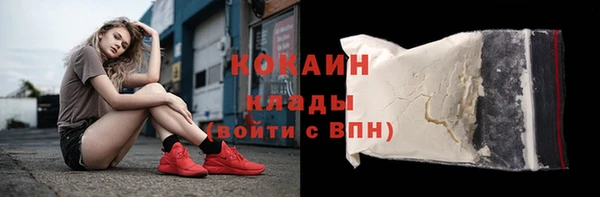 прущие грибы Армянск