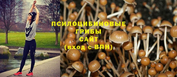 соль ск Аркадак