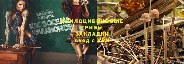 прущий лед Арсеньев