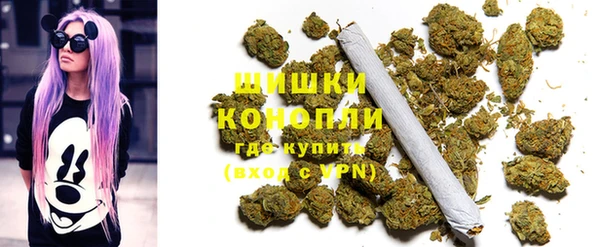 прущие грибы Армянск