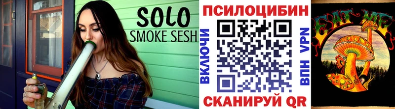 где найти   Сясьстрой  Псилоцибиновые грибы Cubensis 